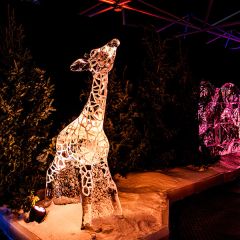 Eiswelt-131